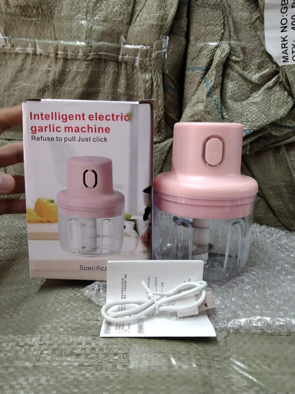 KolorFish Electric Mini Garlic Chopper - 250ml Portable Vegetable Chopper